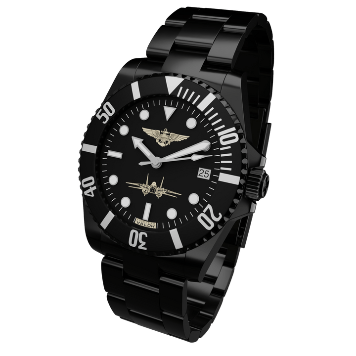 F-14 Tomcat Pilot – Timeless Valor