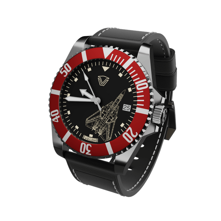 F-14 Tomcat – Timeless Valor