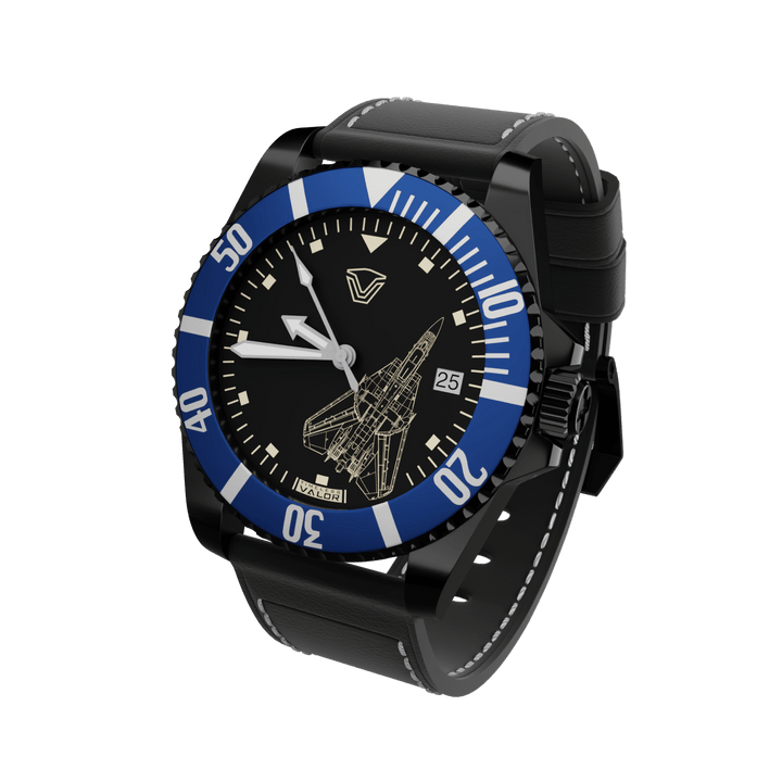 F-14 Tomcat – Timeless Valor