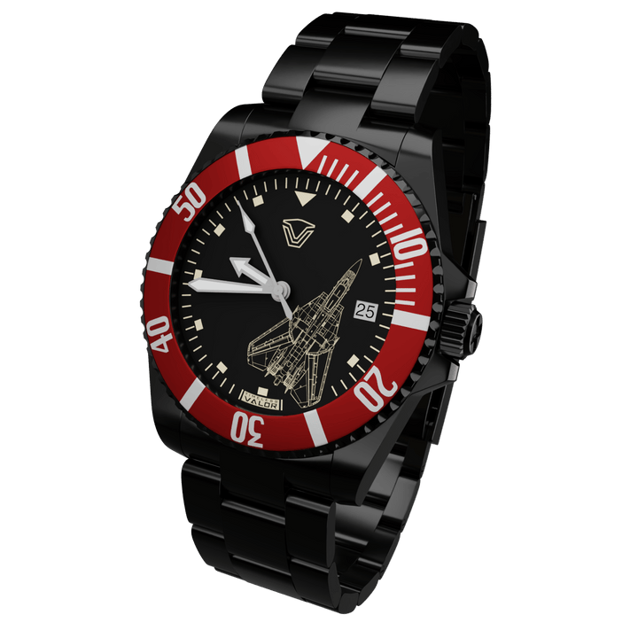＜EXTREME＞TOMCAT REGALO F-14 Tomcat – Timeless Valor