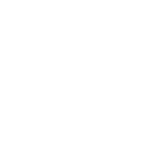Timeless Valor