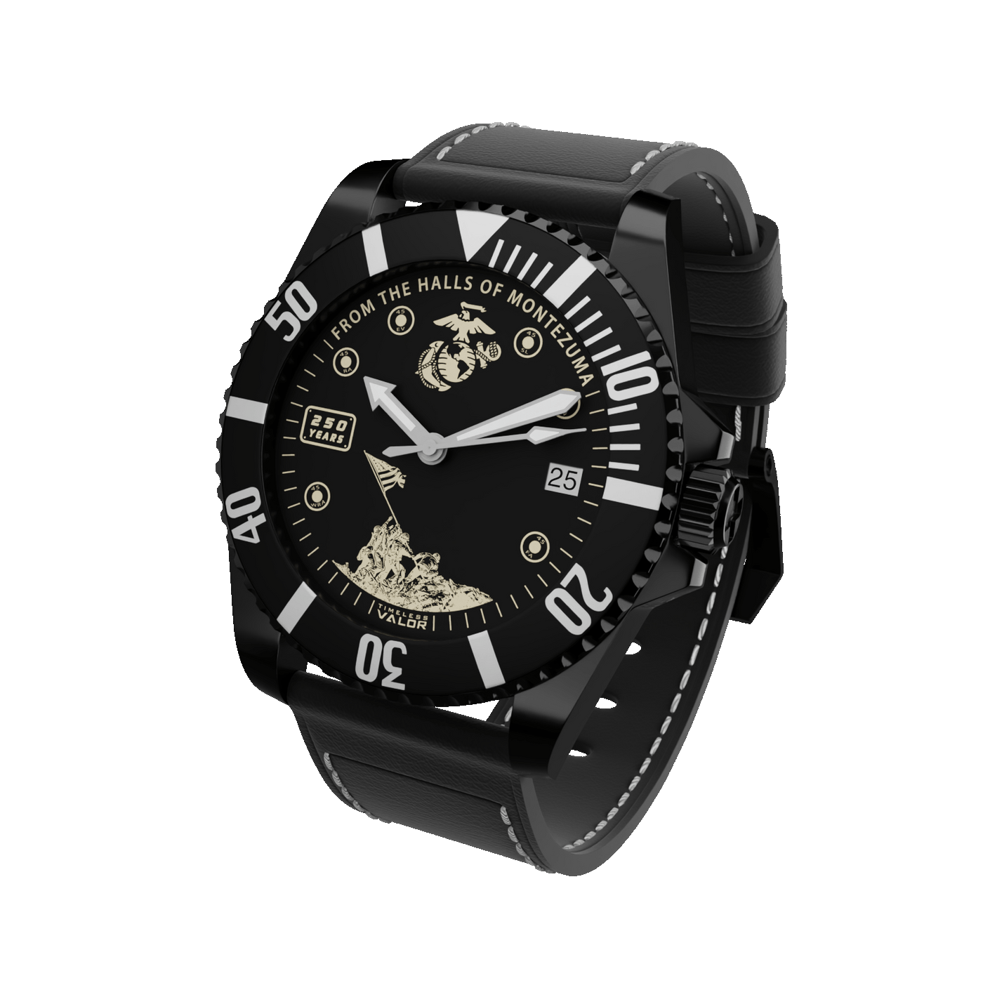 USMC 250 Years